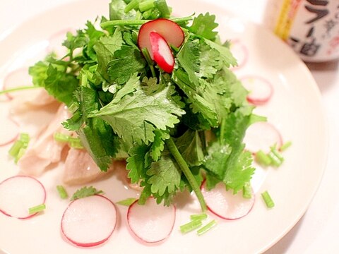 簡単おかず★パクチーたっぷり食べるラー油で鶏ムネ肉